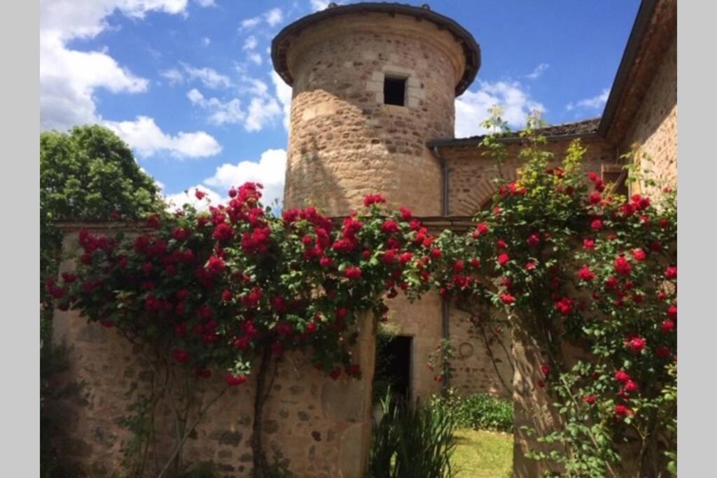 Domaine de la Durantie Duplex Vieux Chateau Castelnau-de-Montmiral Extérieur photo